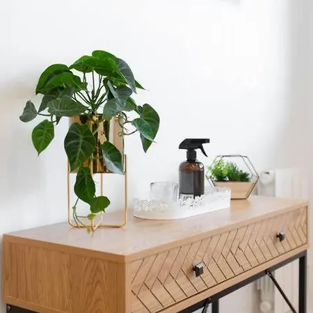 Apartment Magnifique Studio A Bompard Proche De La Plage *